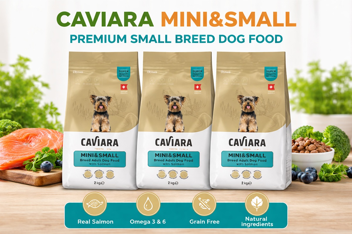 Caviara Mini & Small Somonlu Yetişkin Köpek Maması 2 kg x 3’lü Paket