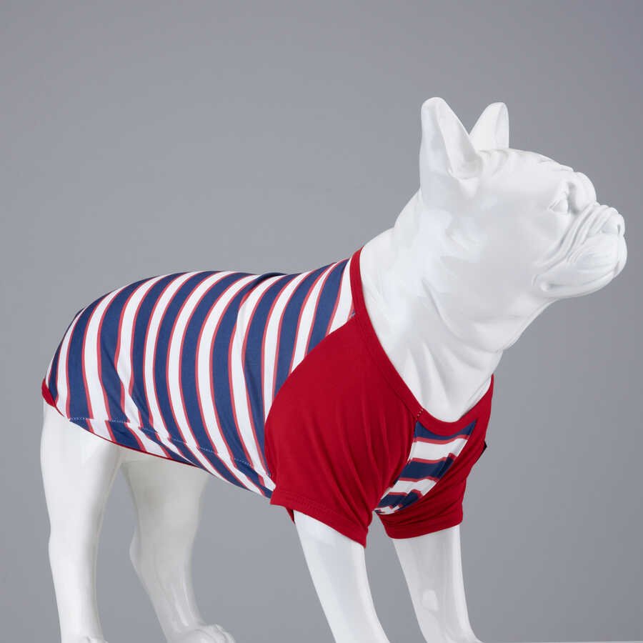 Double Red Küçük Irk Köpek Tshirt