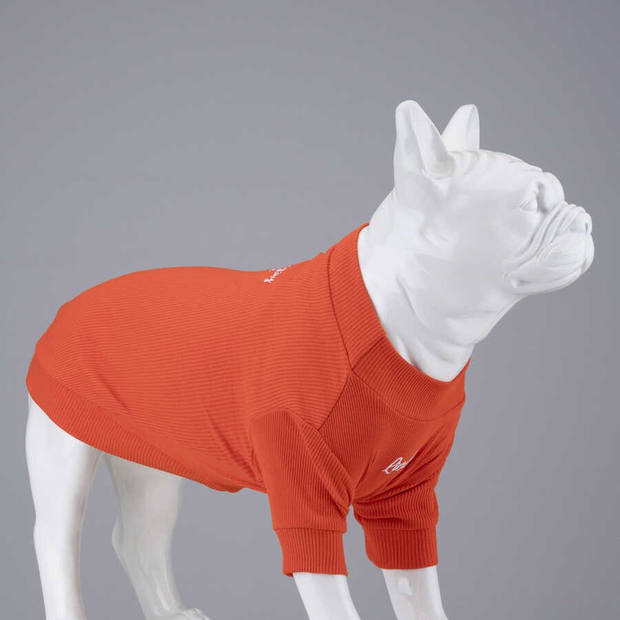 Flex Always Stay Free Küçük Irk Köpek Tshirt