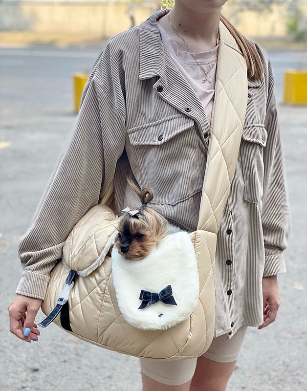 Bej Üstü Açık Evcil Hayvan Taşıma Çantası