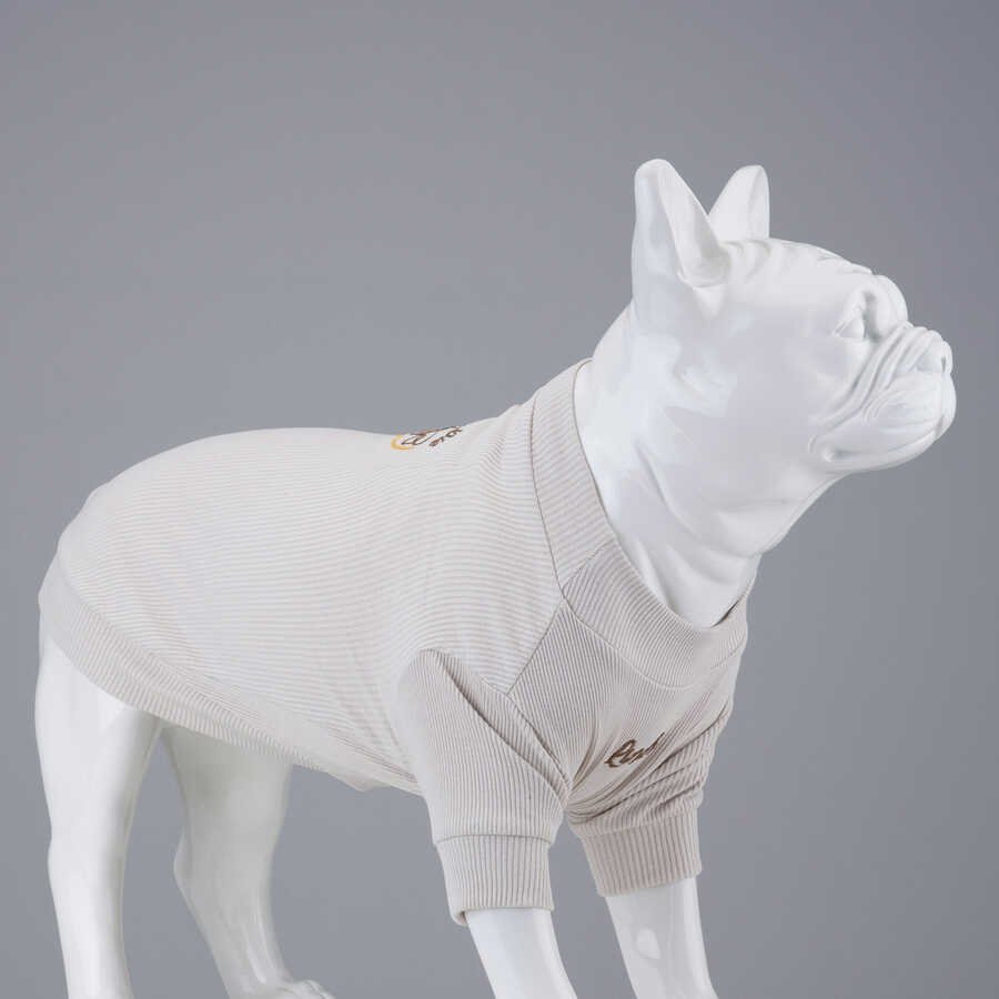 Flex Honey Pie Küçük Irk Köpek Tshirt