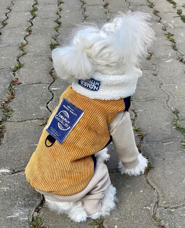 Kadife Köpek Yeleği