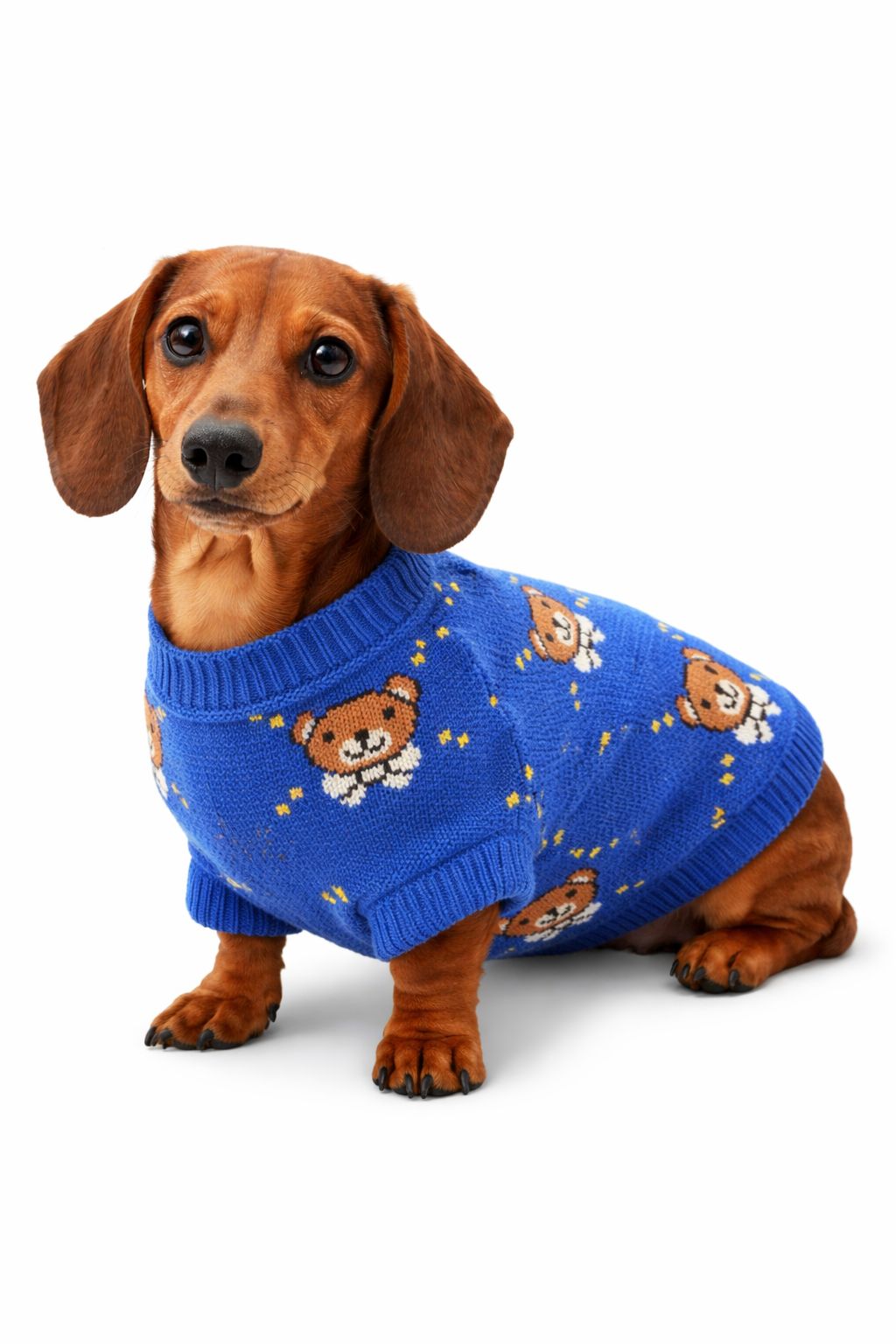 Evcil Hayvan Triko Kazak