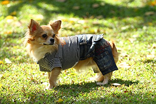 Kapüşonlu Kot Detaylı Köpek Kıyafeti